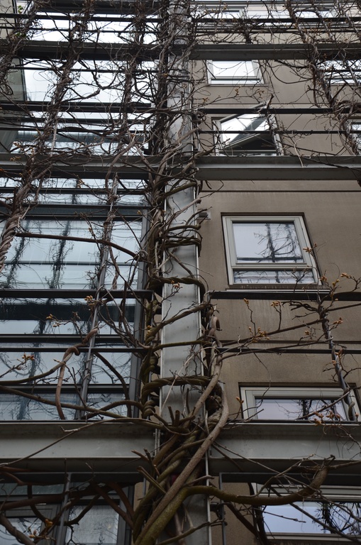 2017-04 Copenhagen/Nørrebro/DSC_0045.JPG